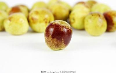 冬棗和蘋(píng)果