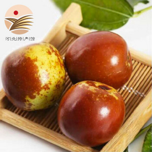 黃驊孔店鮮冬棗 5斤