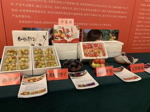 大荔冬棗進(jìn)軍上海市場(chǎng) 簽訂農(nóng)產(chǎn)品購(gòu)銷(xiāo)協(xié)議5.3萬(wàn)噸